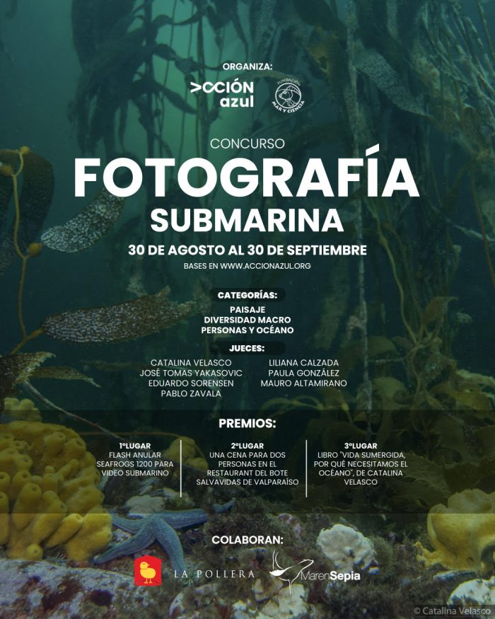 Afiche Concurso de Fotografía